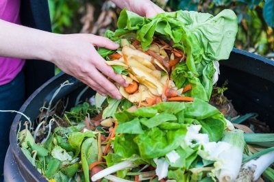 kitchen - waste